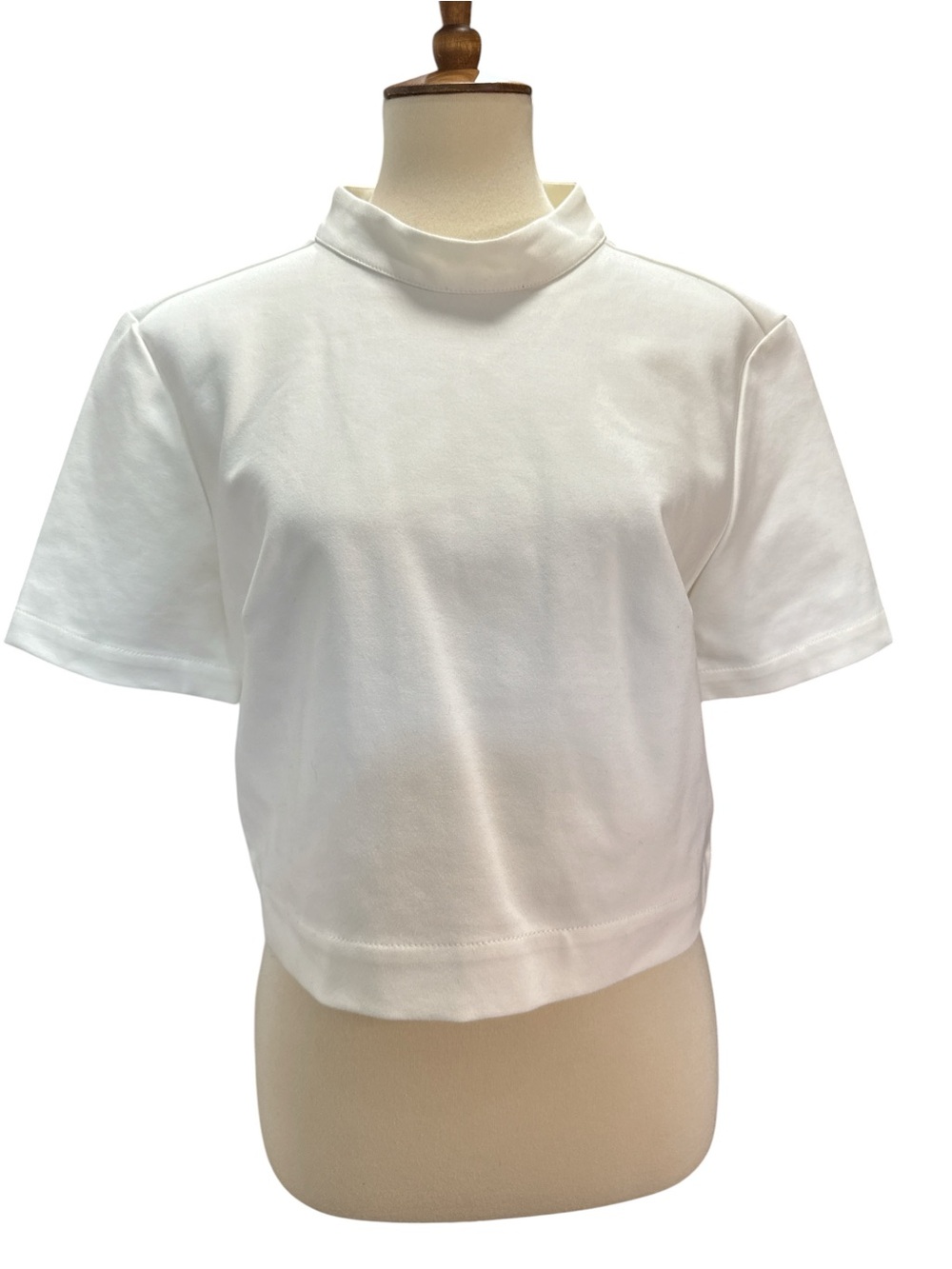 Maeve Cream Mock Neck Top #362